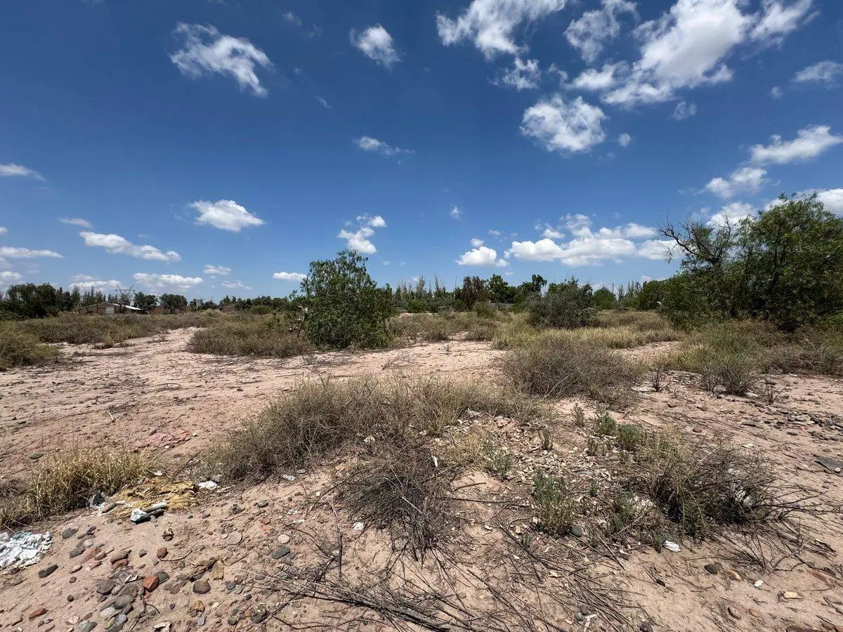 TERRENO EN VENTA 3 Hectáreas, Coquimbito, Maipú 4