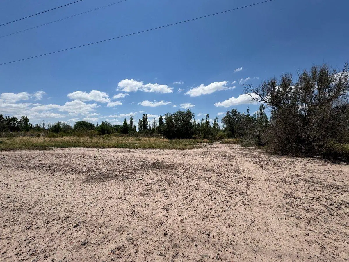 TERRENO EN VENTA 3 Hectáreas, Coquimbito, Maipú 5