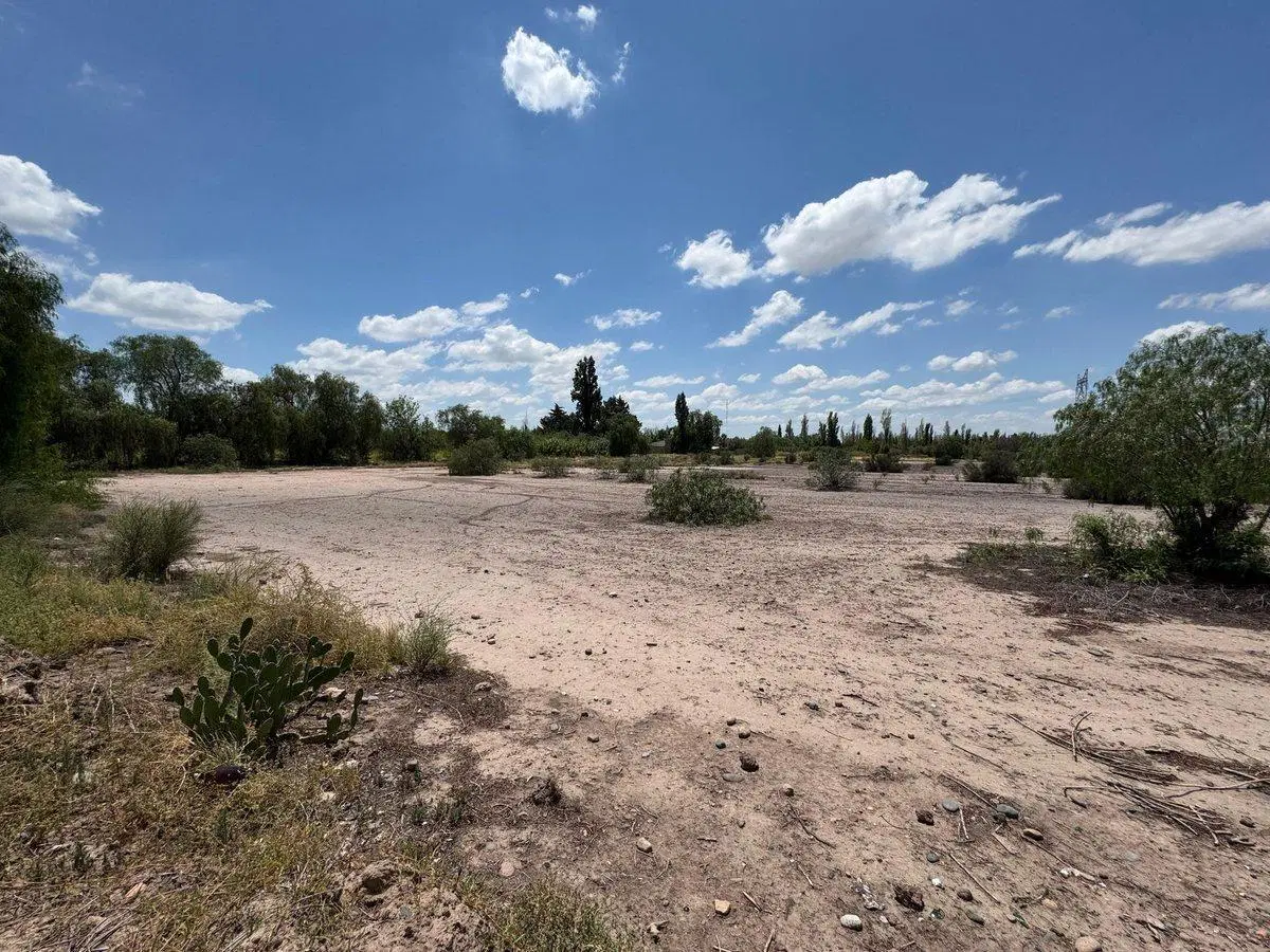 TERRENO EN VENTA 3 Hectáreas, Coquimbito, Maipú 3