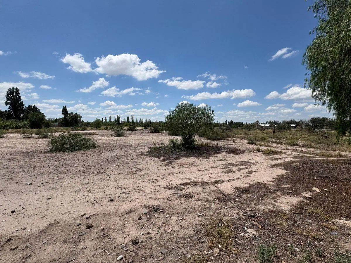 TERRENO EN VENTA 3 Hectáreas, Coquimbito, Maipú 2