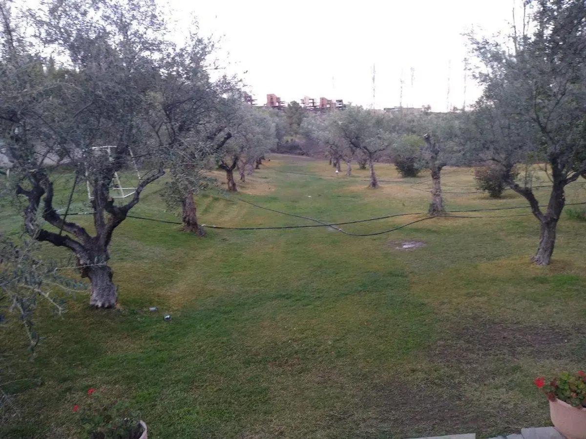 Casa en venta Vistalba, Mendoza 3