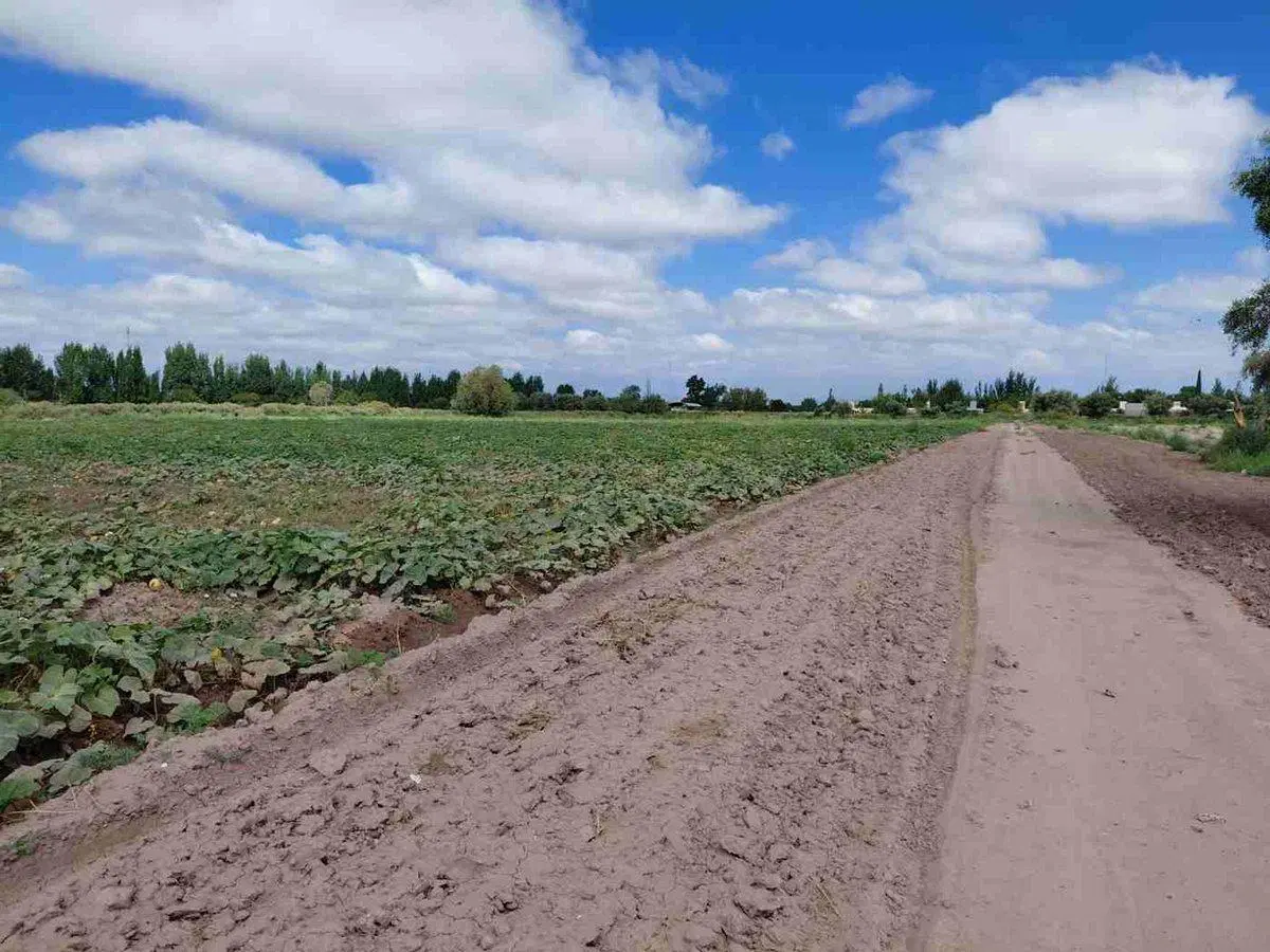 Venta Campo 45 Ha y Edificio Lavalle Mendoza 5
