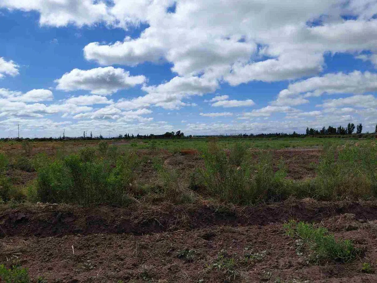 Venta Campo 45 Ha y Edificio Lavalle Mendoza 2