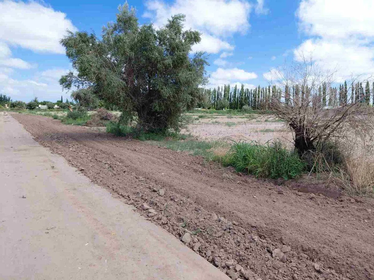 Venta Campo 45 Ha y Edificio Lavalle Mendoza 3