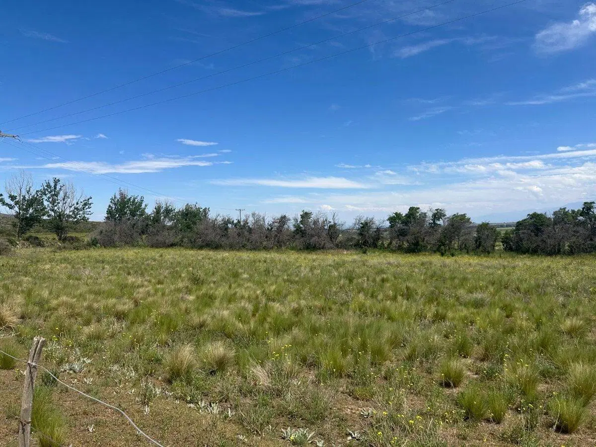 LOTE EN VENTA LA CARRERA TUPUNGATO VALLE DE UCO 4