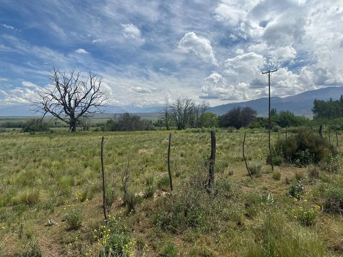 LOTE EN VENTA LA CARRERA TUPUNGATO VALLE DE UCO 5