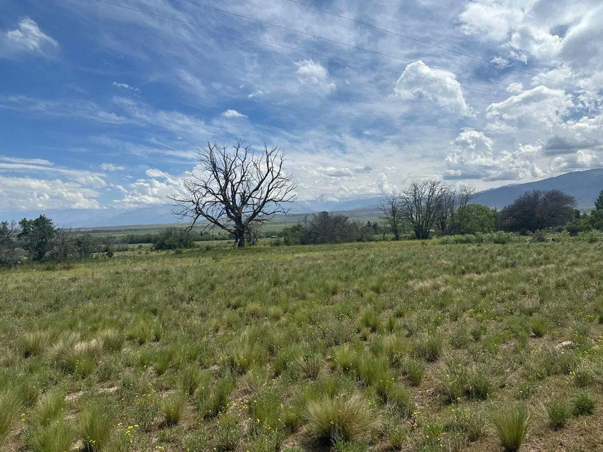 LOTE EN VENTA LA CARRERA TUPUNGATO VALLE DE UCO 3