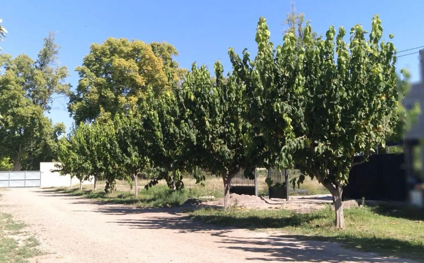 LOTE VENTA CHACRAS DE CORIA LUJAN 2