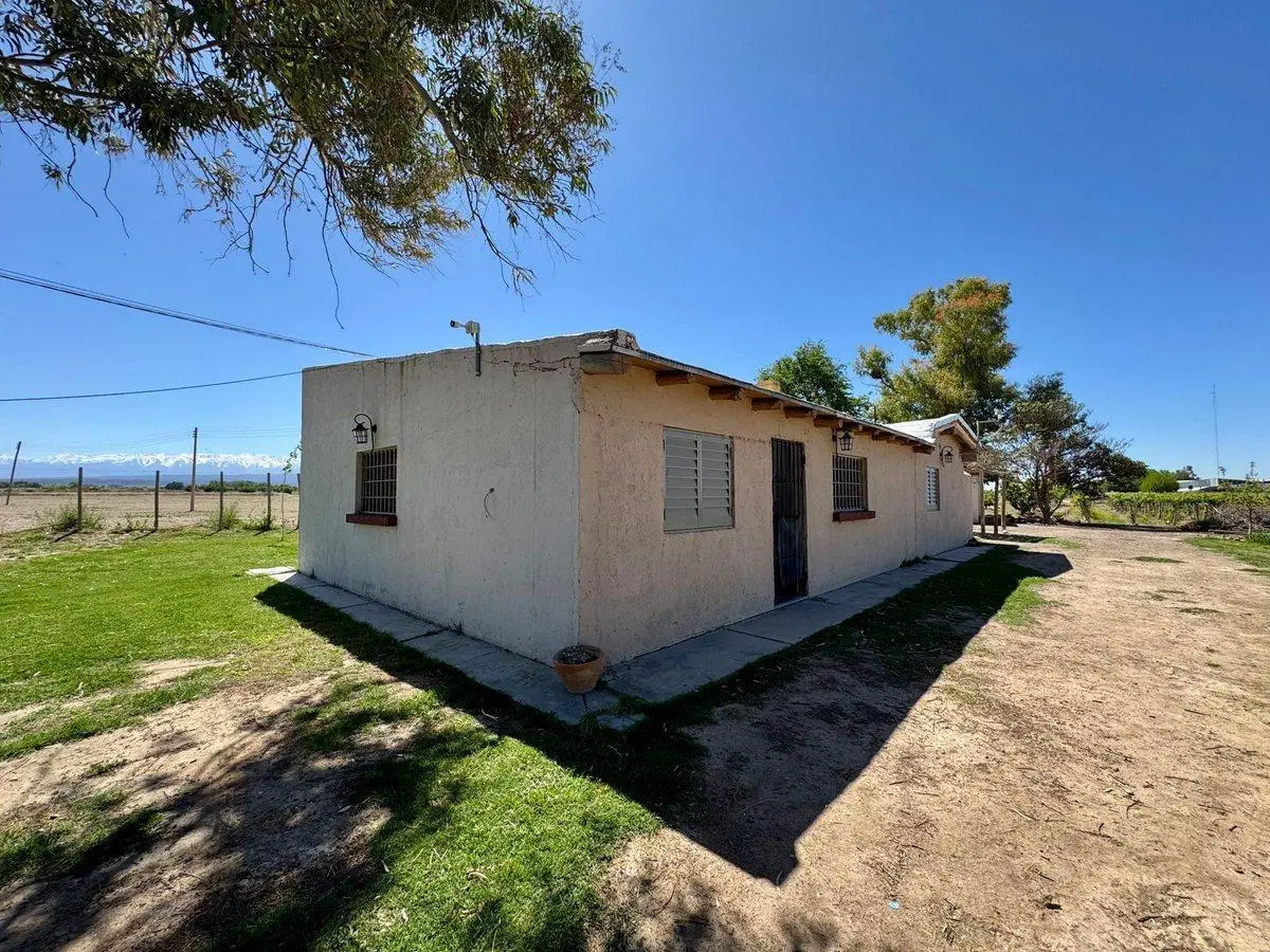 VENTA FINCA EN LUJAN DE CUYO 5