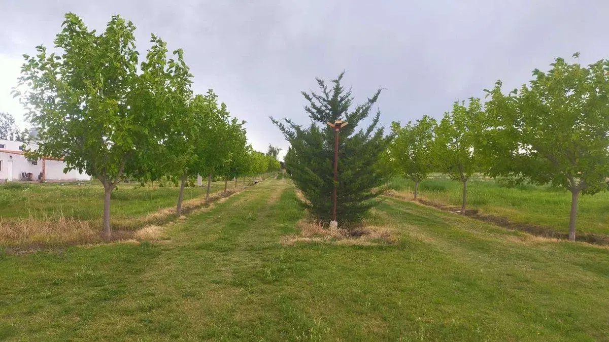 Lote en Venta de 2100 mts en Rama Caída San Rafael 2