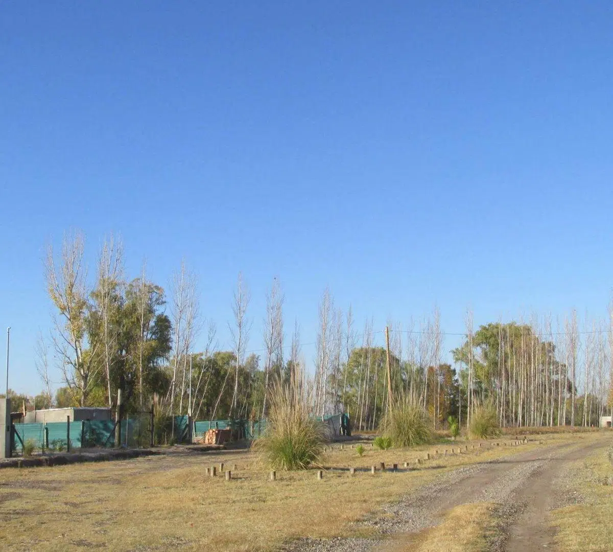 Venta Terreno 1000 m2 en San Carlos Valle de Uco 5