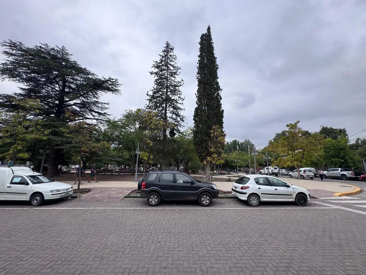 Alquiler Oficina Chacras de Coria, Mendoza 2