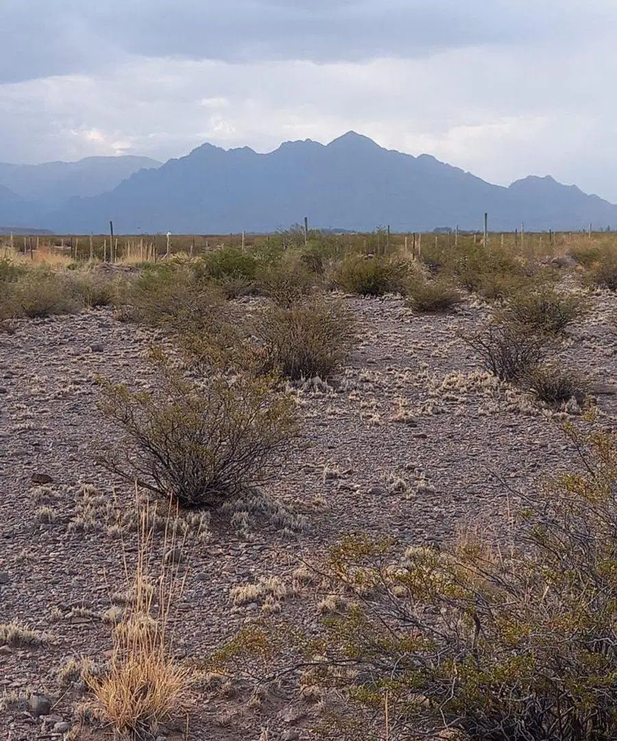 Terreno 4.000 metros en San Alberto, Uspallata 5