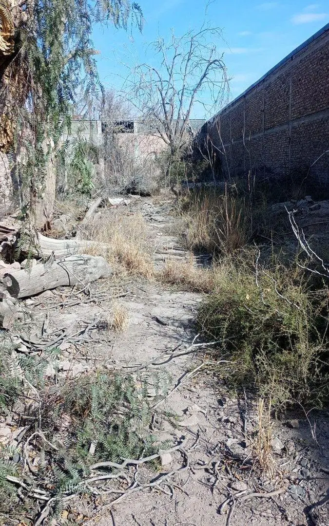 GRAN TERRENO  EN GUAYMALLEN, MENDOZA 3