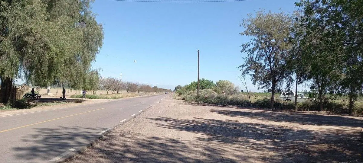 Venta Finca en producción 48,28has, San Martin 8