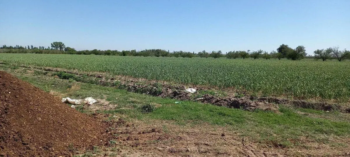 Venta Finca en producción 48,28has, San Martin 3
