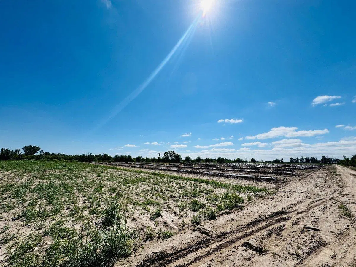 Venta Finca en producción 48,28has, San Martin 4