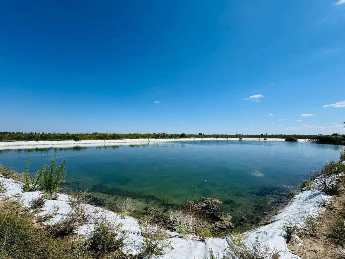 Venta Finca en producción 52,60has San Martín 8