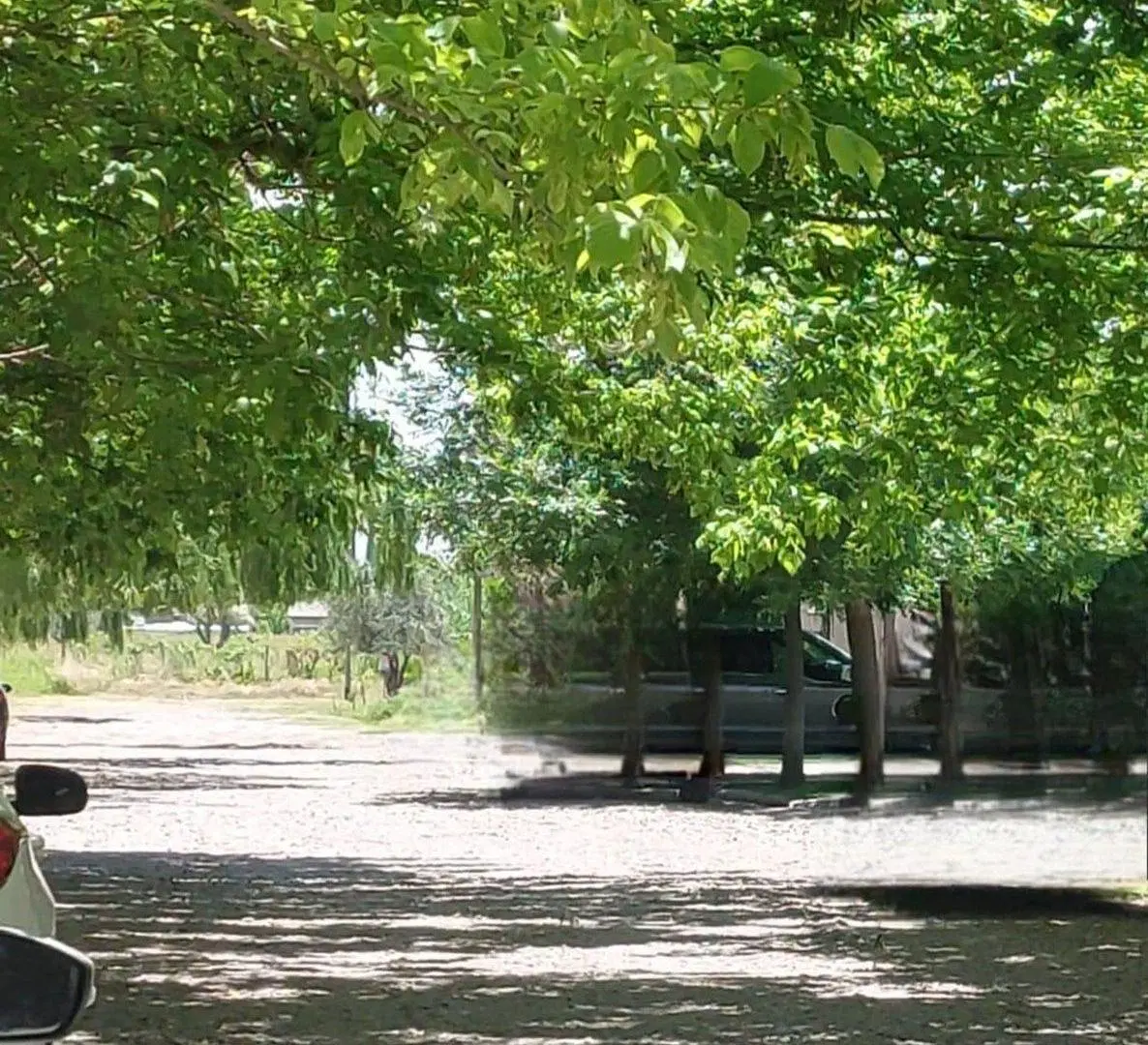 LOTE EN VENTA CHACRAS DE CORIA CALLEJÓN PRIVADO 3