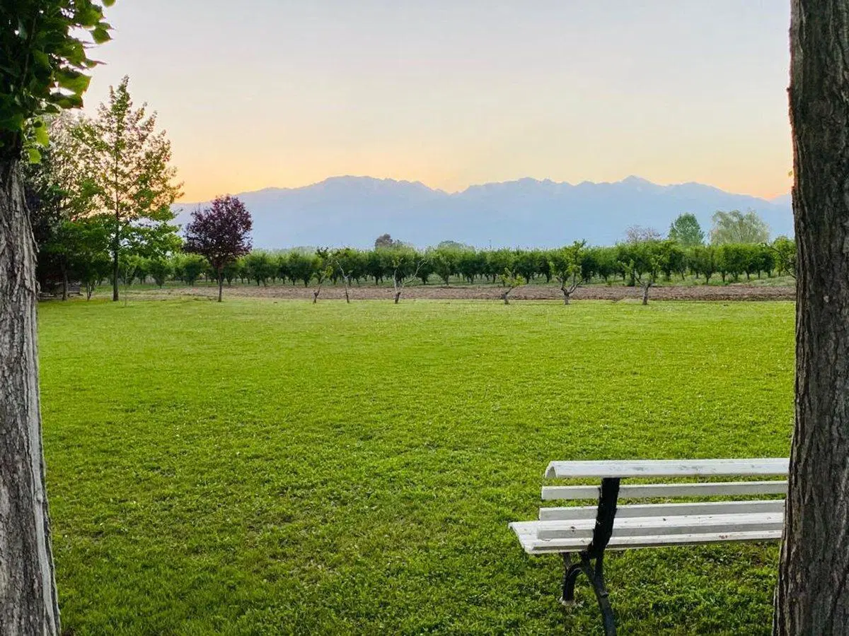 Gran Propiedad Turística en Venta en Valle de Uco 5