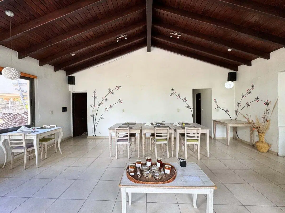 RESTAURANTE EN VENTA EN POTRERILLOS, MENDOZA 2