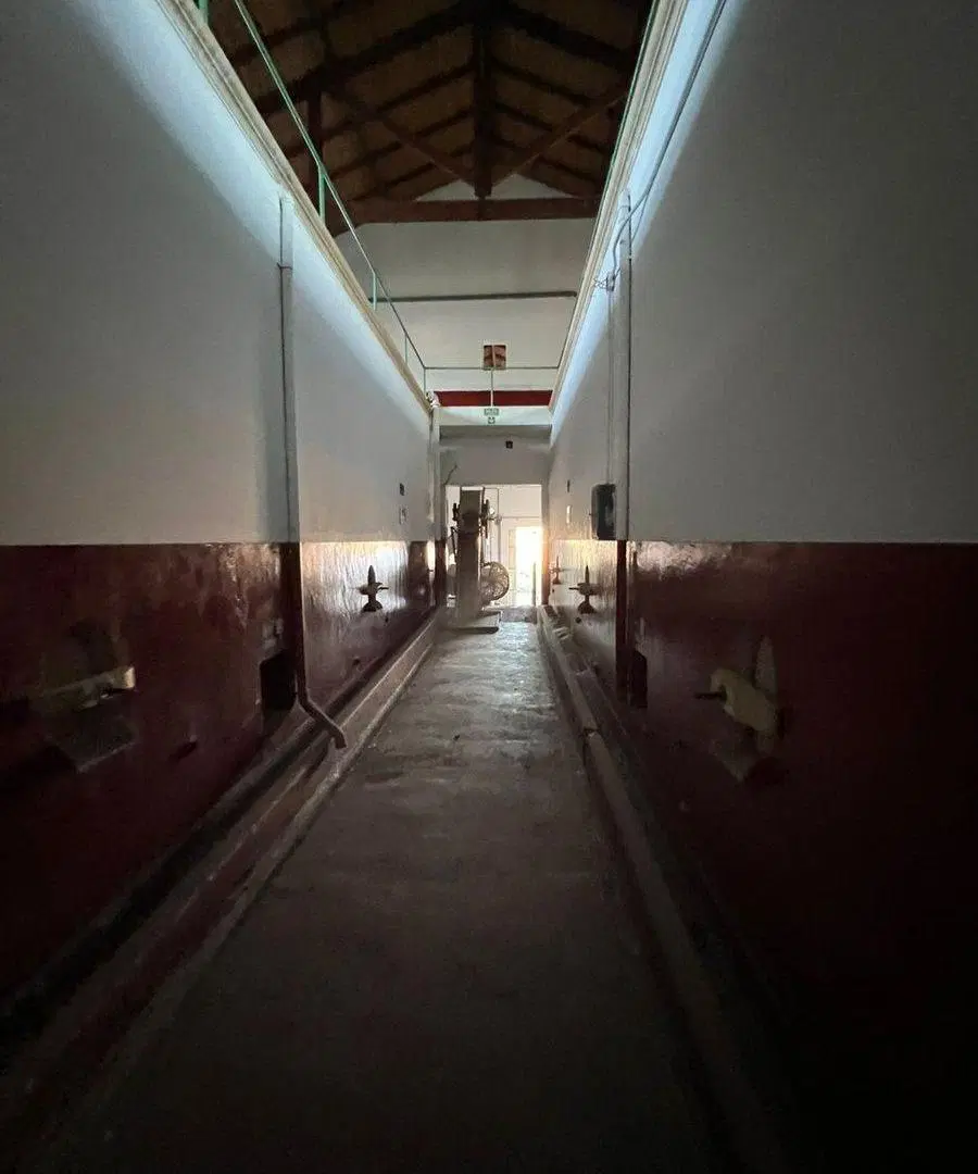 venta bodega lujan de cuyo 4