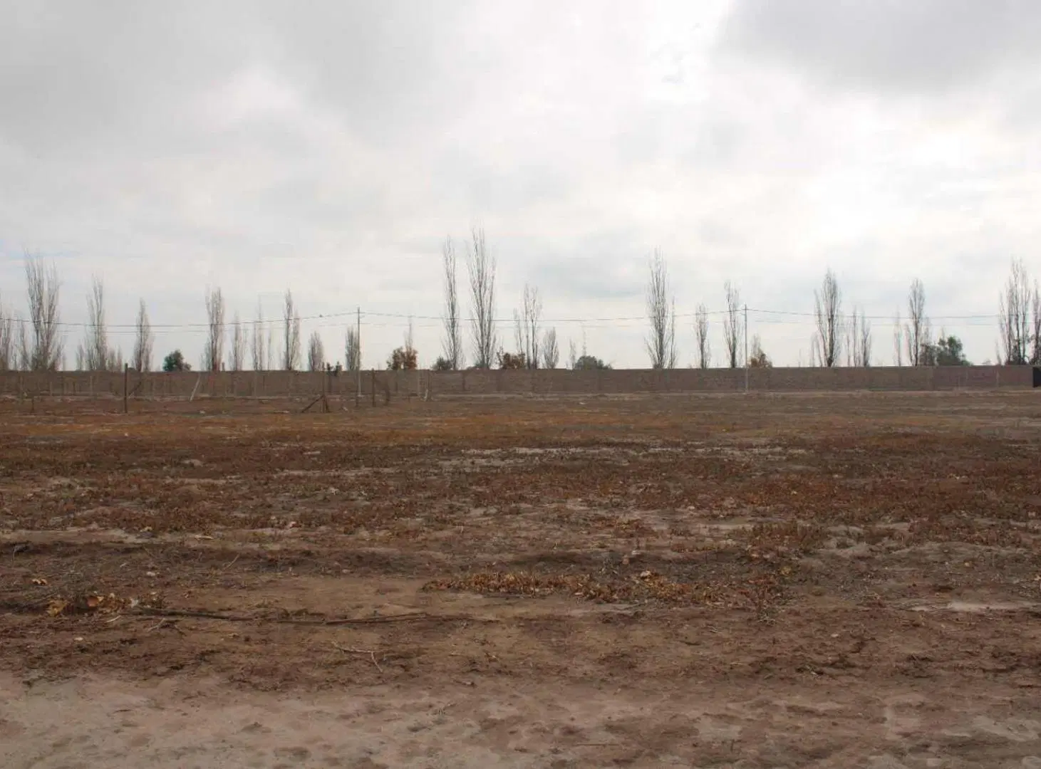 Venta de Lote en Barrio Privado Álamos – Maipú 4