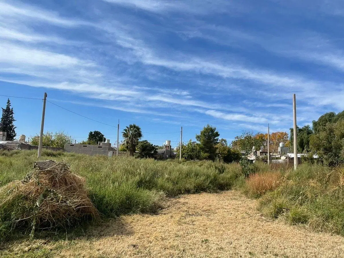 VENTA TERRENO DE 2000 M2 LUZURIAGA MAIPU MENDOZA 5