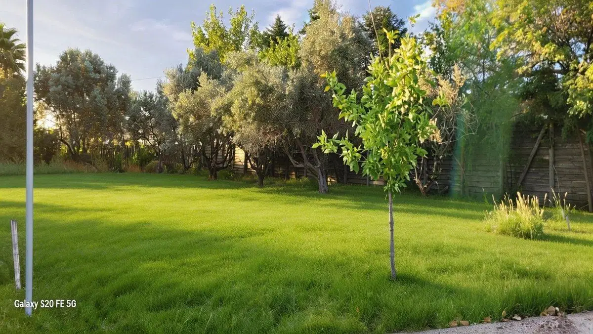 VENTA LOTE SAN MARTIN 3