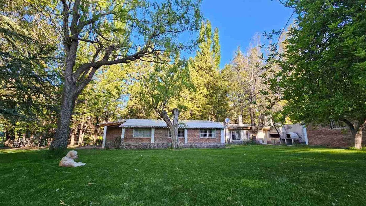 CASA EN VENTA EL SALTO, POTRERILLOS, MENDOZA 5