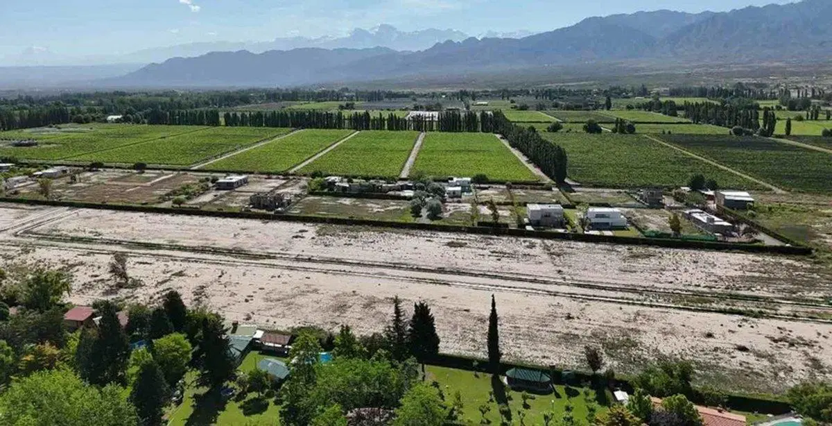 Venta Lotes Barrio Verona Vistalba Lujan de Cuyo 5