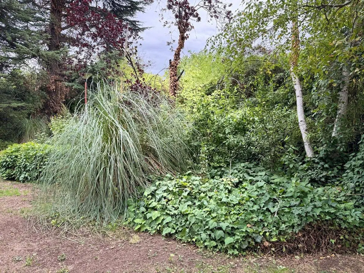 Venta lote Chacras de Coria 3