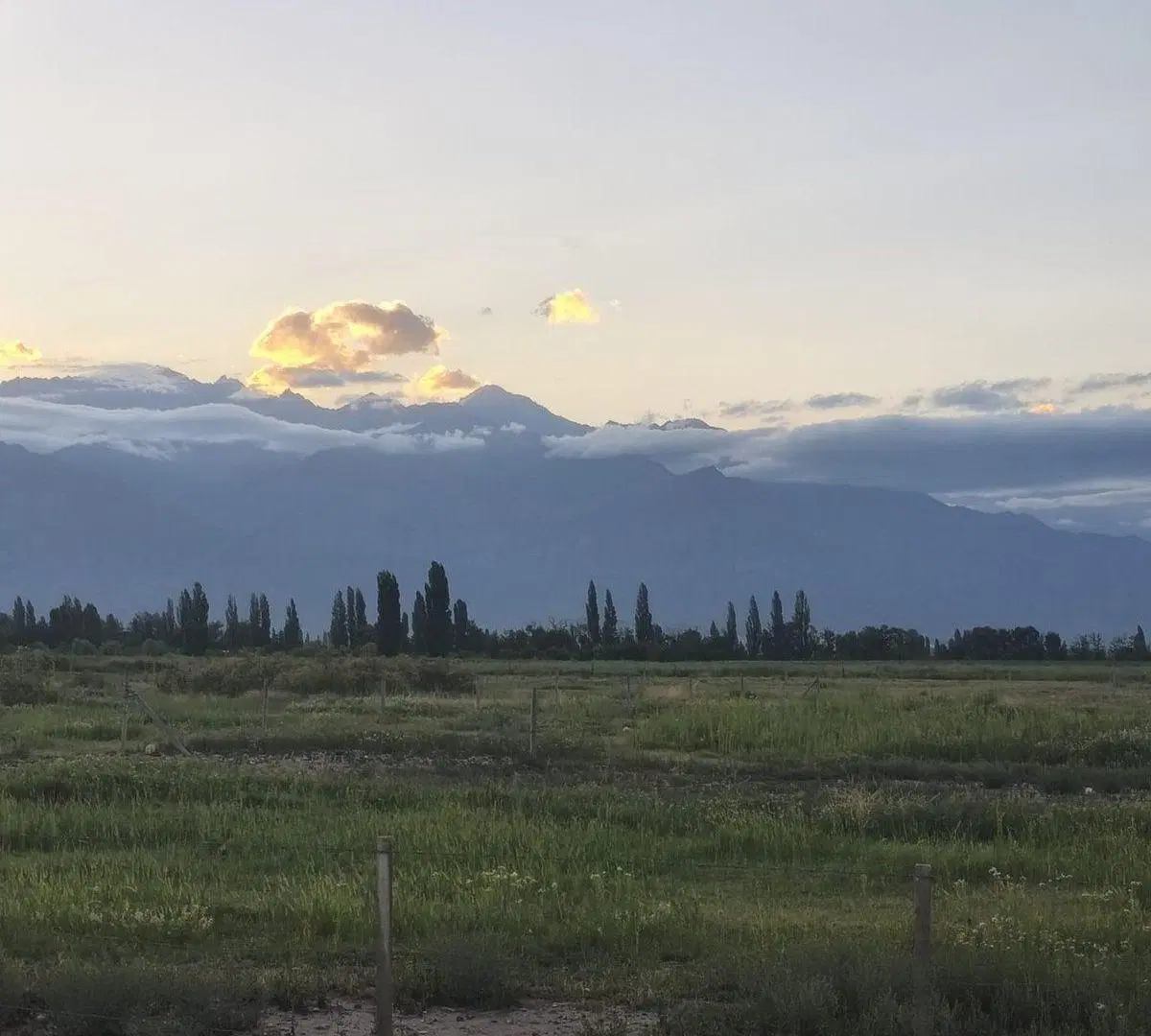 Campo 25000 m2 en Venta en Altamira Valle de Uco 4