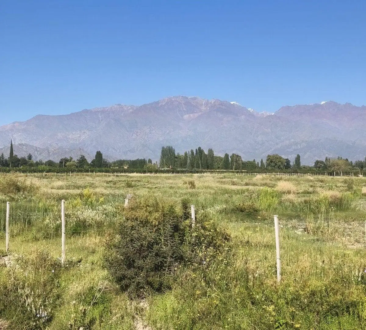 Campo 25000 m2 en Venta en Altamira Valle de Uco 3