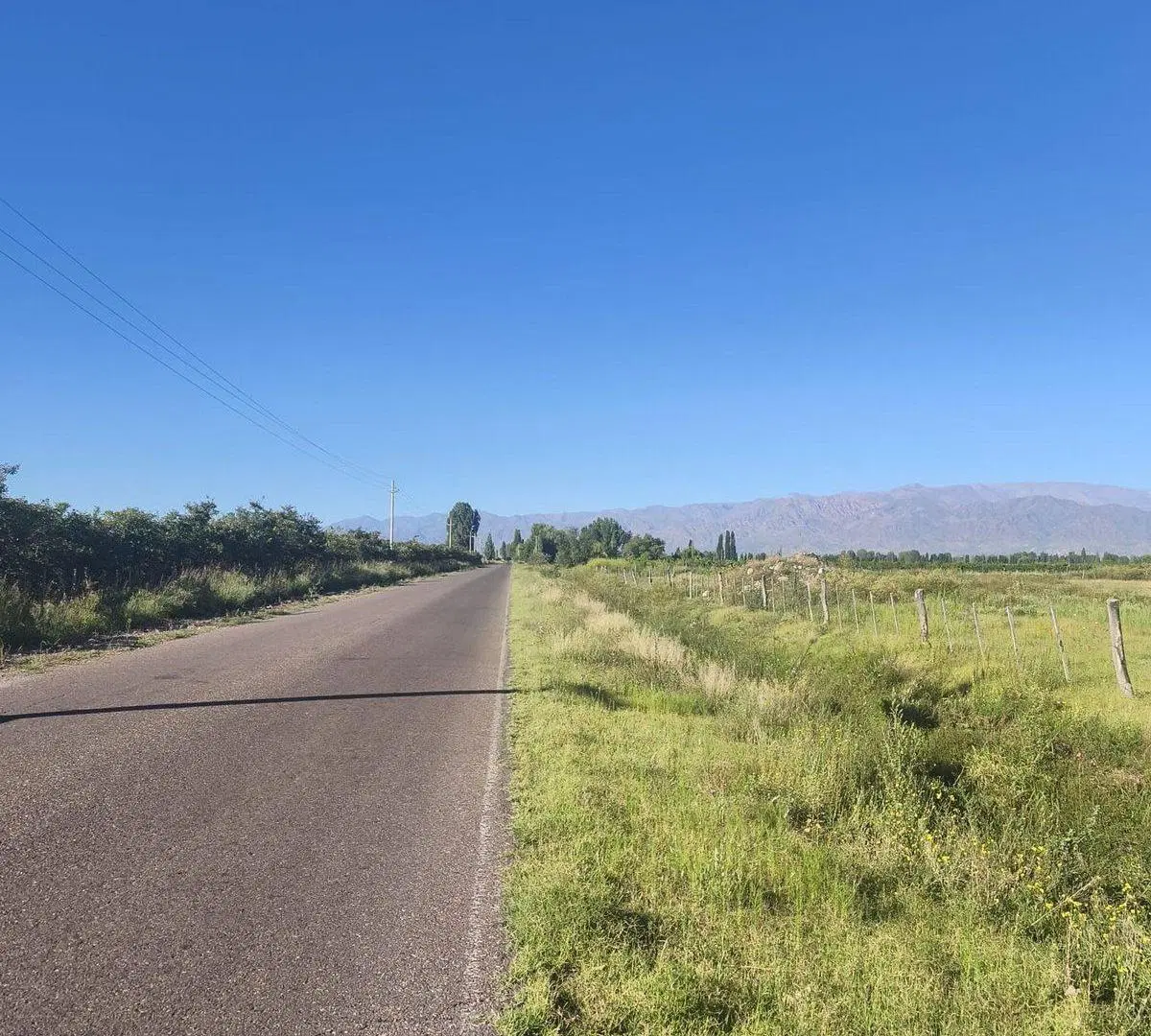 Campo 25000 m2 en Venta en Altamira Valle de Uco 2