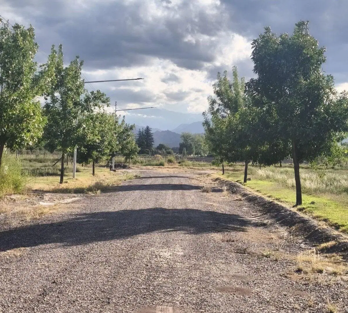 Quincho y pileta en Venta La Consulta Valle de Uco 5