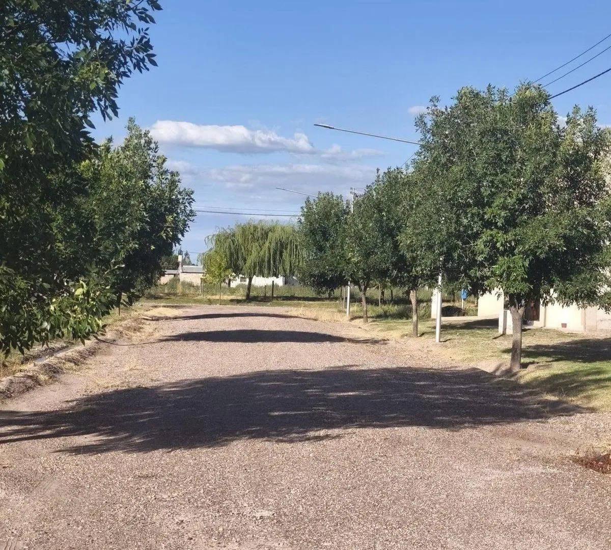 Quincho y pileta en Venta La Consulta Valle de Uco 2