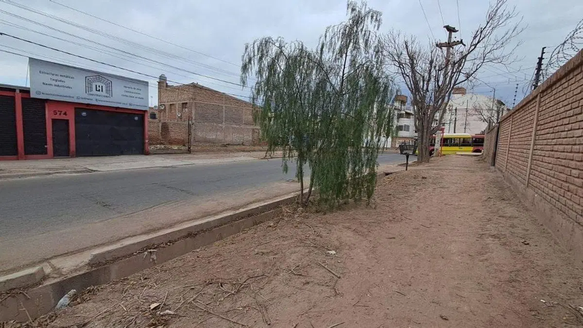 Venta Lote Godoy Cruz, ideal Desarrollo 4