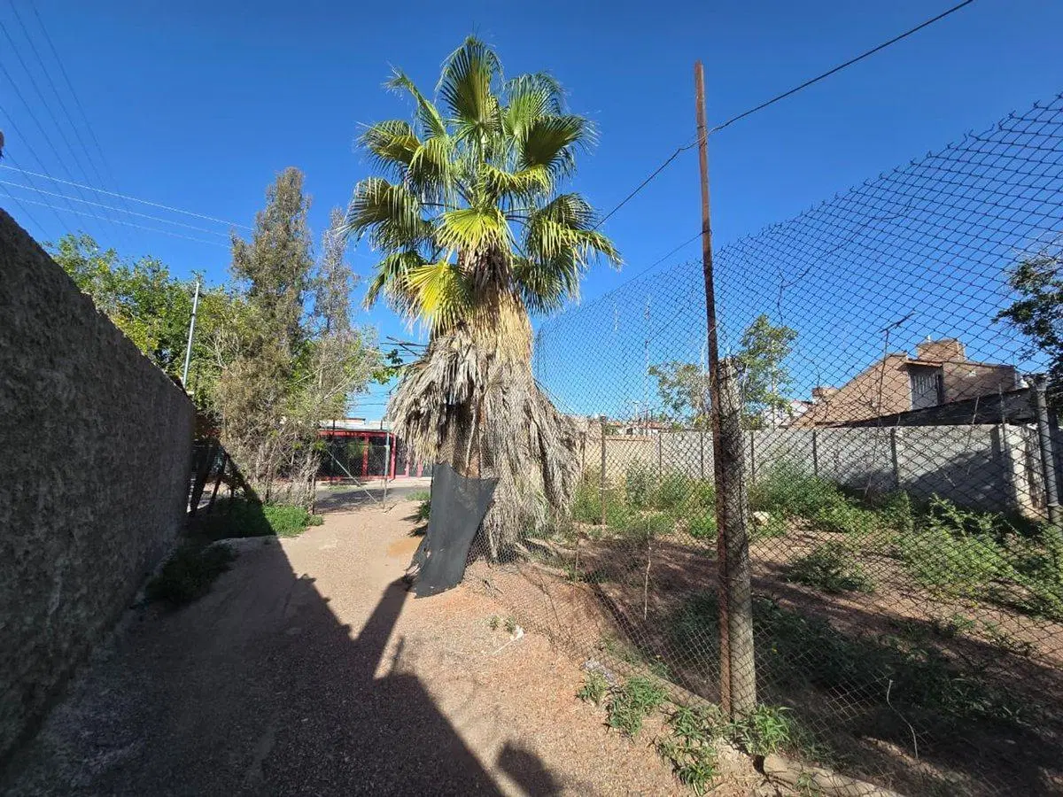Venta Lote Godoy Cruz, ideal Desarrollo 3