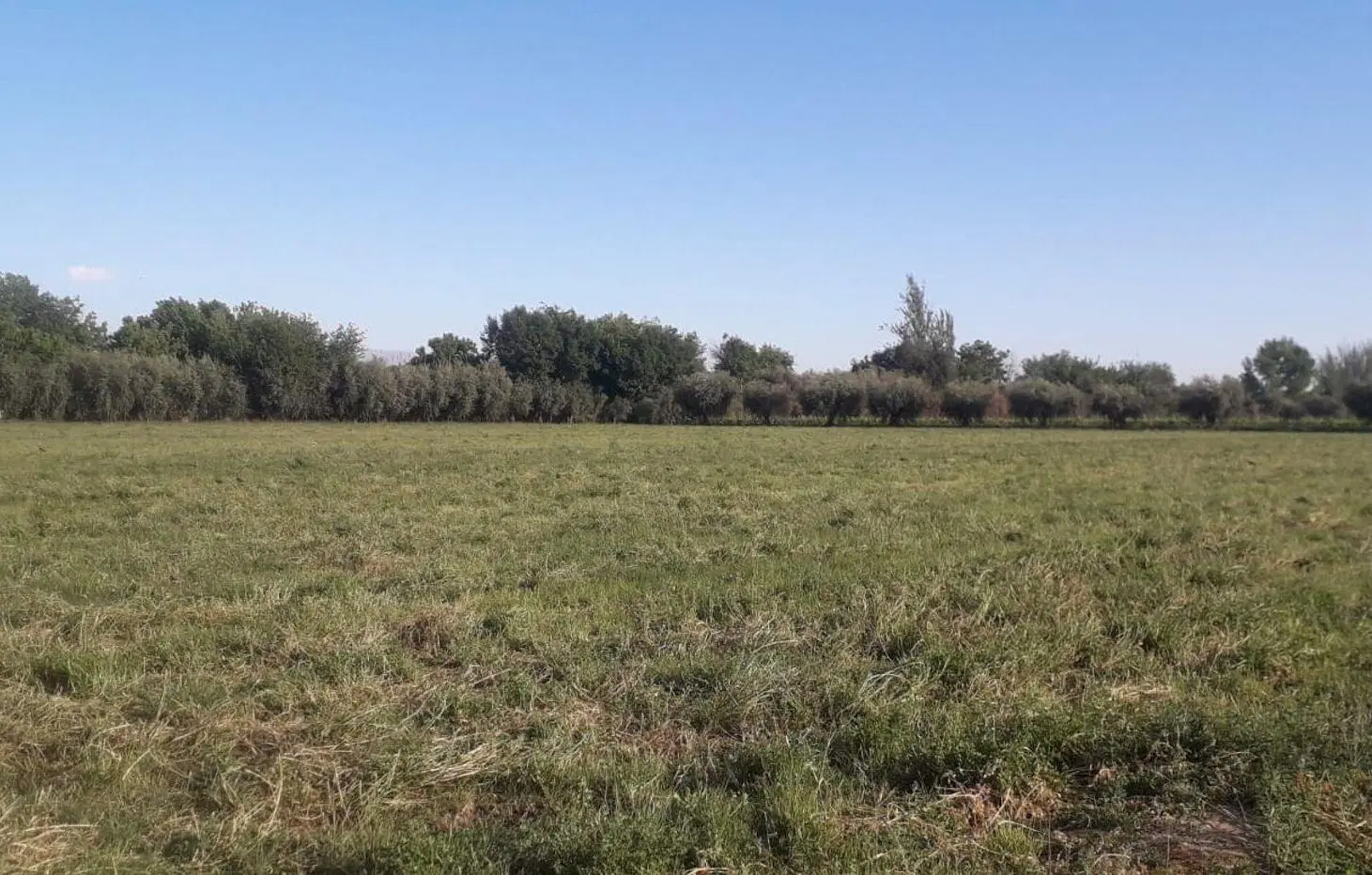 VENTA-TERRENO PARA DESARROLLO-GUAYMALLEN 3