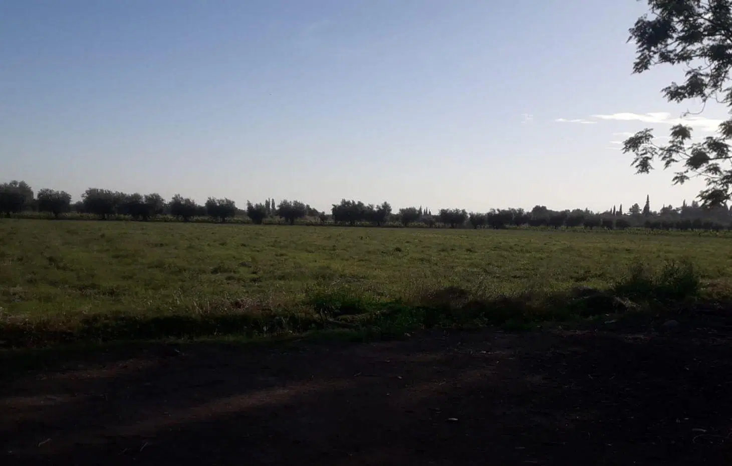 VENTA-TERRENO PARA DESARROLLO-GUAYMALLEN 2