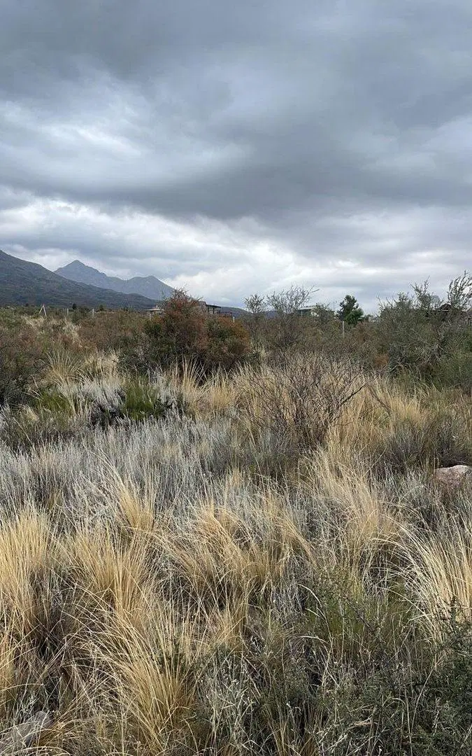 LOTE EN VENTA EN LA CRUCECITA-LAS HERAS, MENDOZA 4