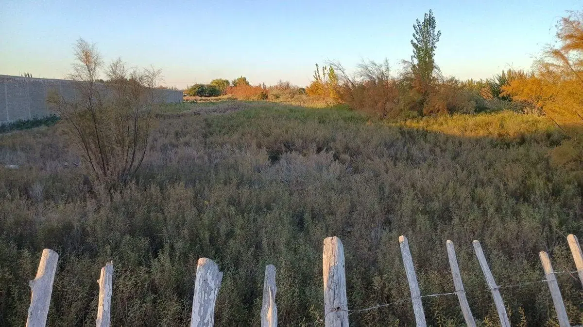 VENTA DE LOTE EN CALLEJÓN FRANCO LOS CORRALITOS 5