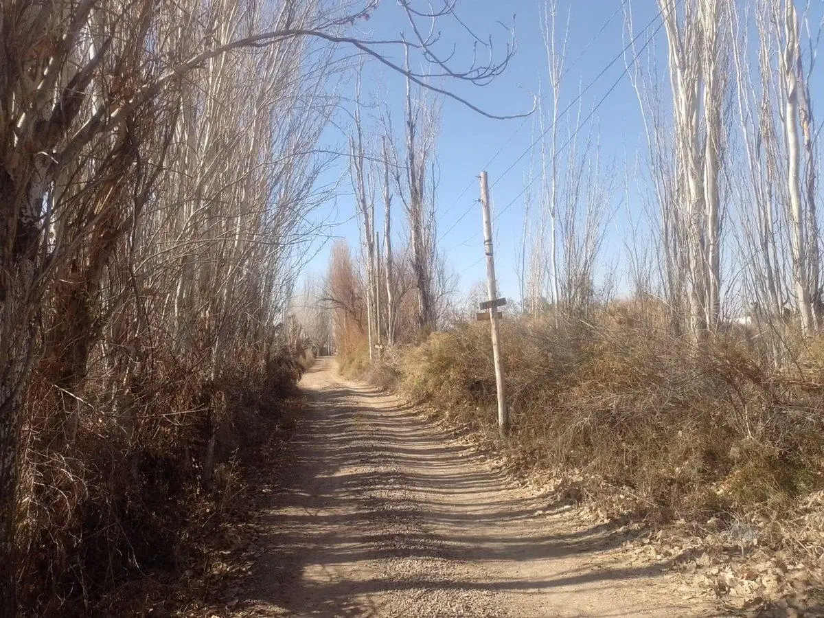 Venta de lote en Corralitos 4