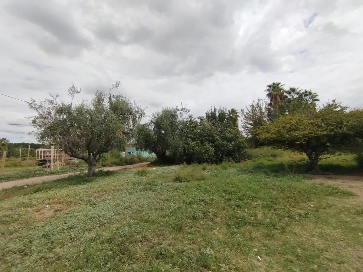 VENTA LOTE CALLE MILAGROS LOS CORRALITOS 2