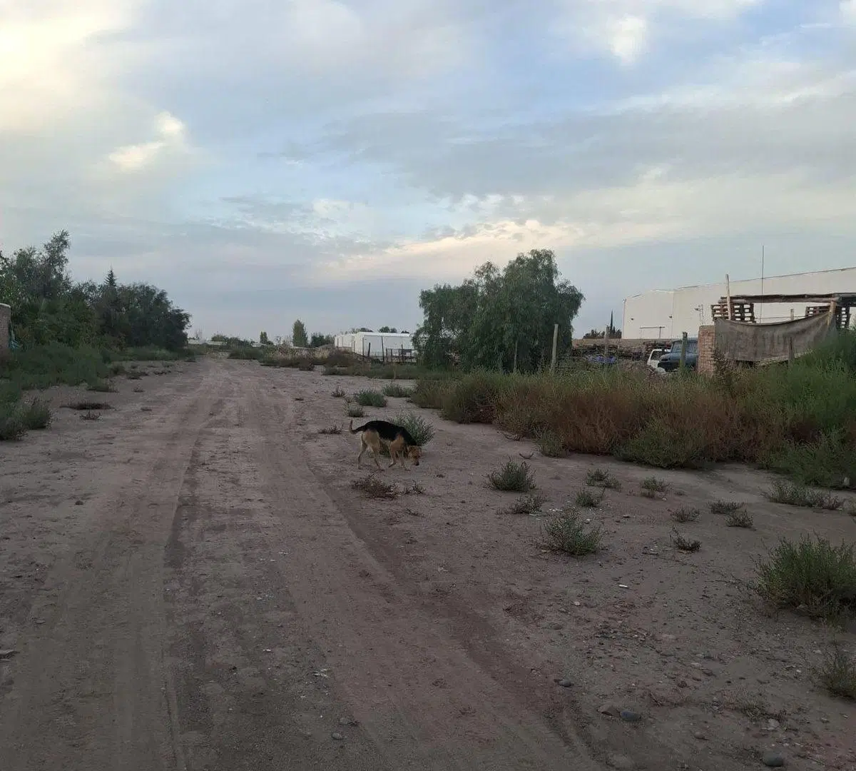 VENTA TERRENO RODRIGUEZ PEÑA 2