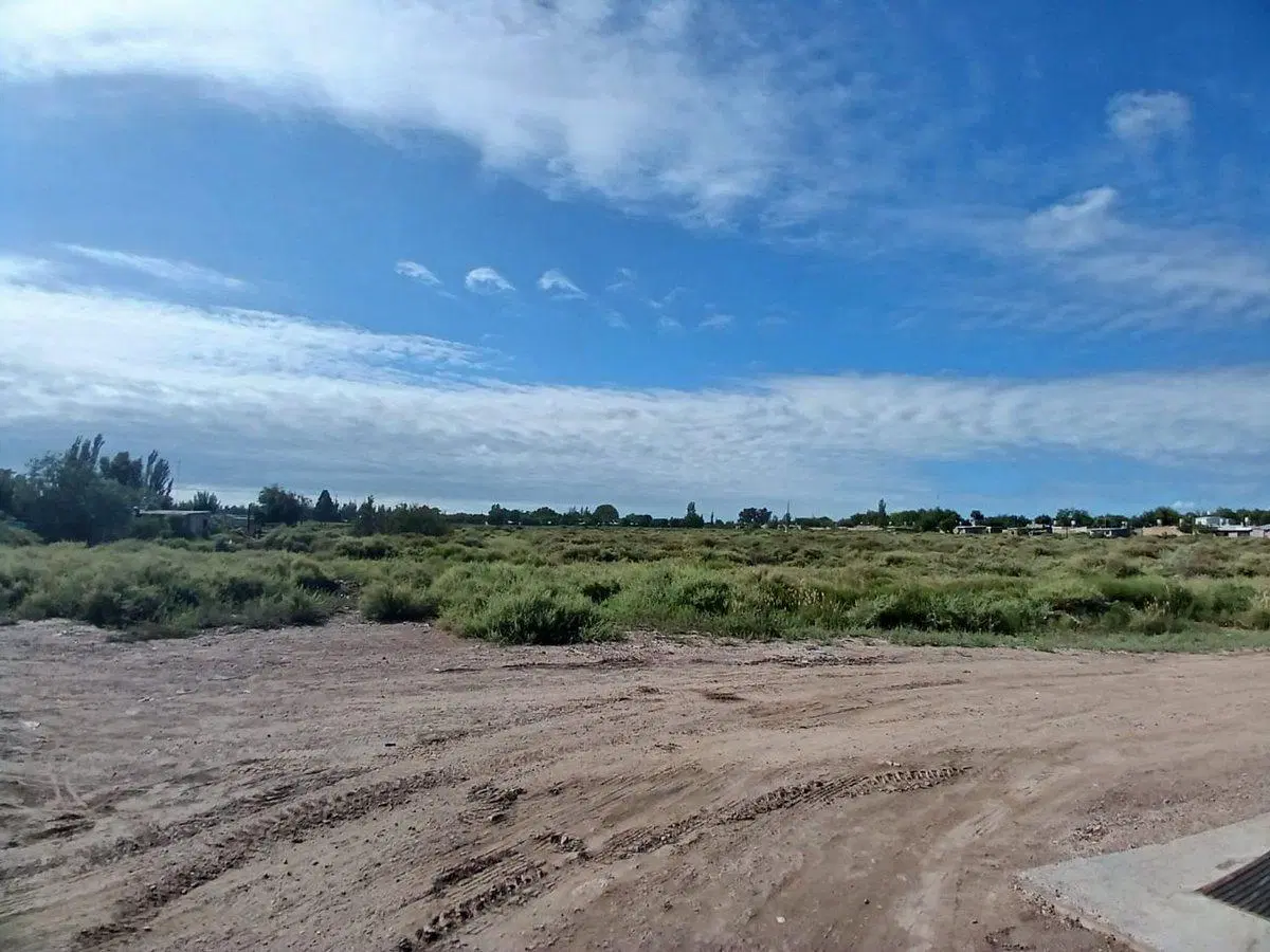 Venta Lote 2ha apto desarrollo San Martin Mendoza 3