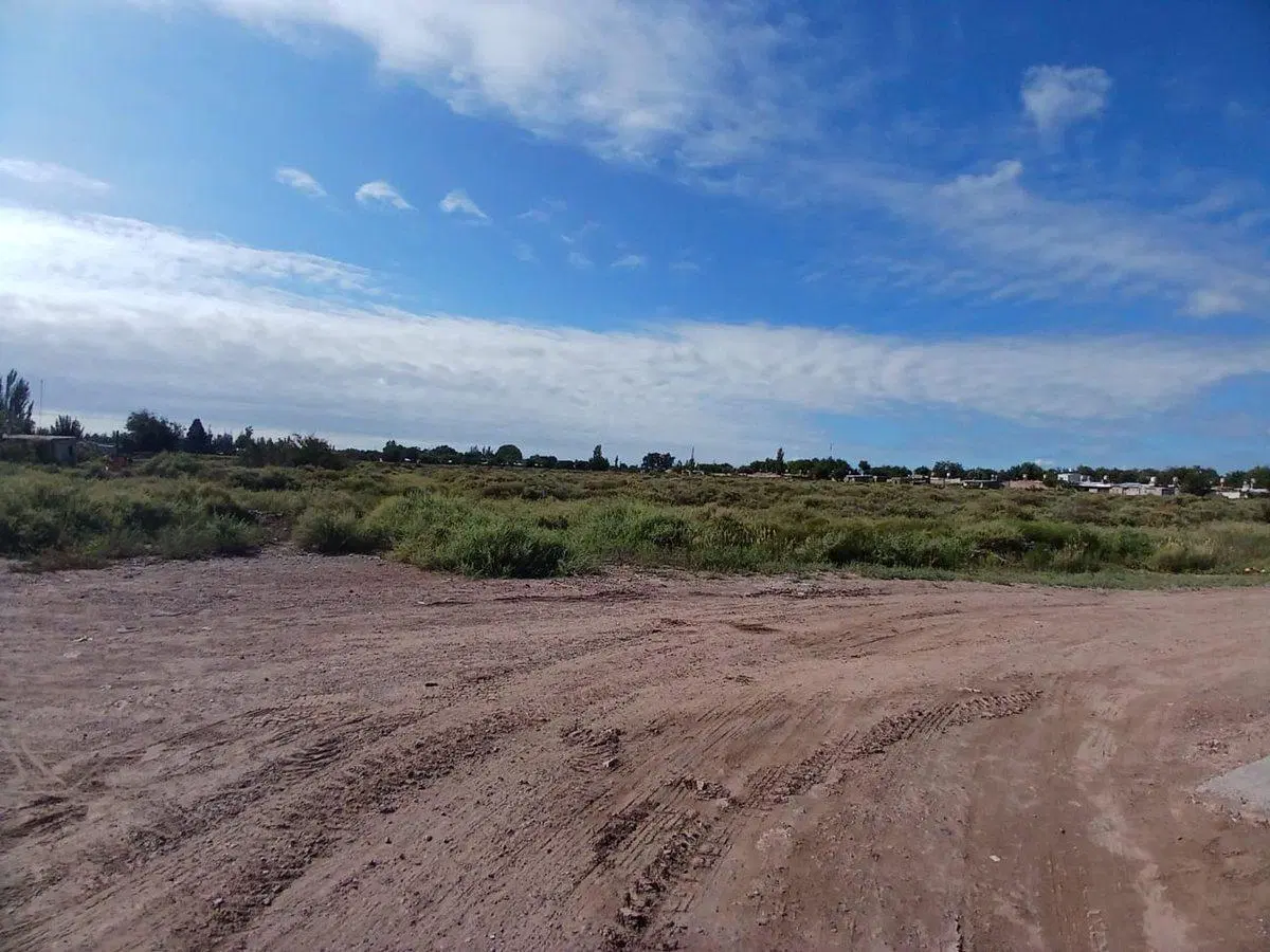 Venta Lote 2ha apto desarrollo San Martin Mendoza 5