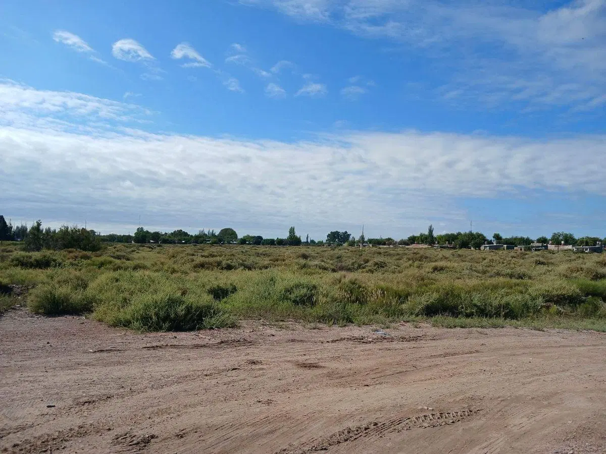 Venta Lote 2ha apto desarrollo San Martin Mendoza 2