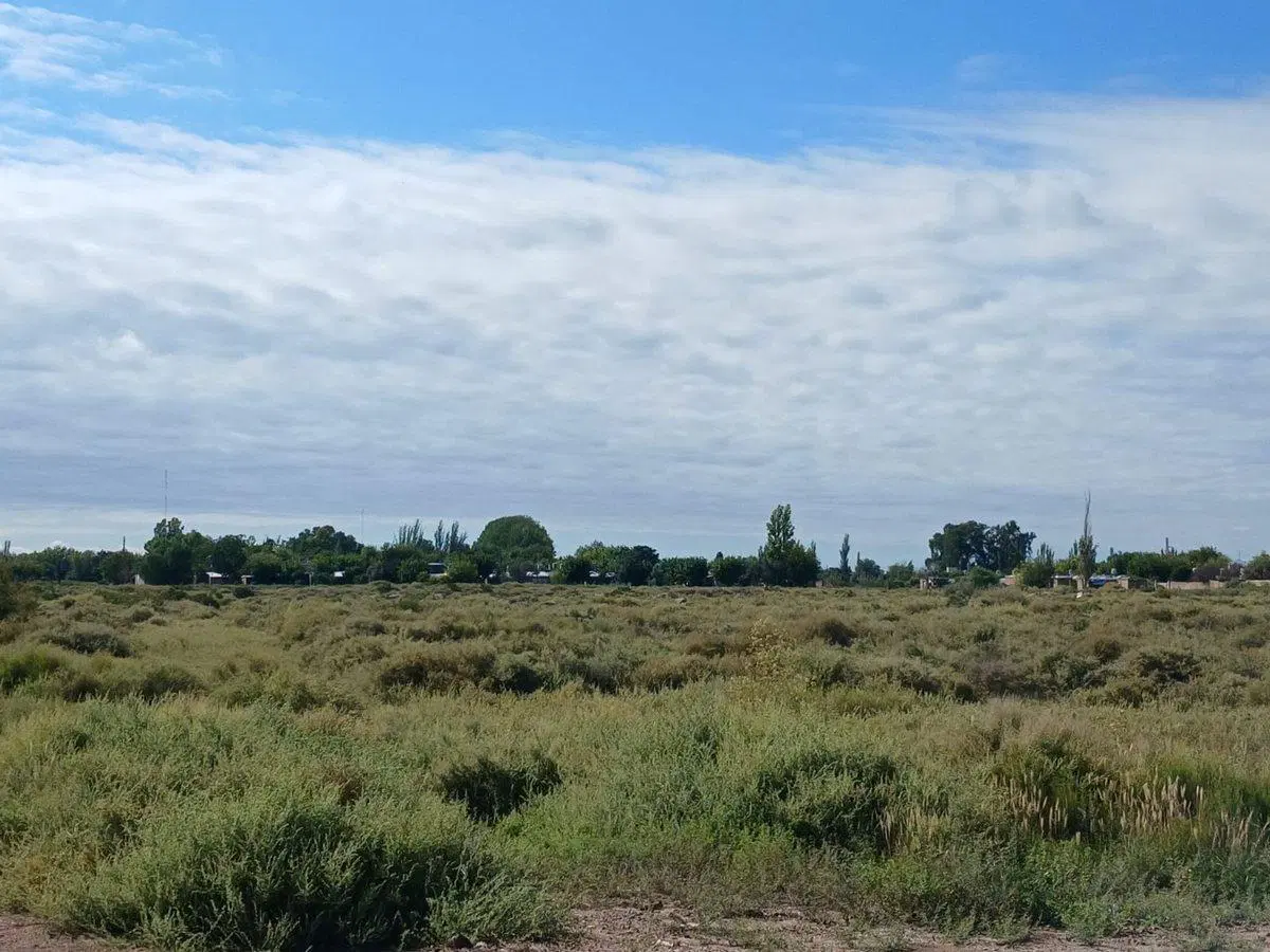 Venta Lote 2300 m2 San Martin Mendoza 4
